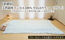 【ふるさと納税】【新感覚】天然素材 テンセル100％ やわはだケット(ブルー) FY23-321