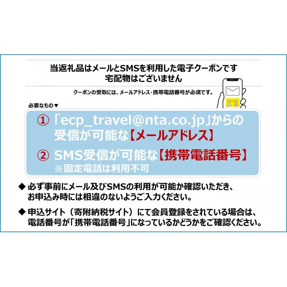 京都市日本旅行地域限定旅行クーポン300,000円分（Eメール発行）
