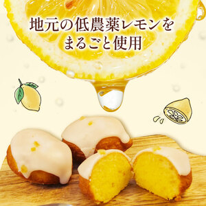 レモン ケーキ 手作り 8個 檸檬 れもん ピール 無添加 低農薬 マーマレード 朝食 贈答用 ギフト プレゼント 