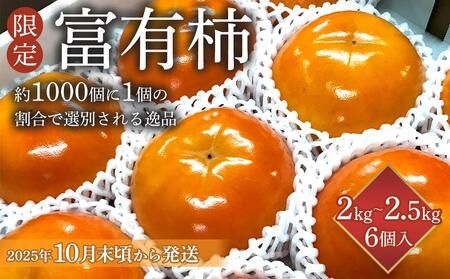 【限定】 富有柿 2kg～2.5kg 6個入 至高の逸品 約1000個に１個！【先行予約】【2025年10月末頃から発送】【KG5】柿柿柿柿柿