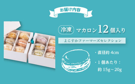 マカロン12個セット　よこすかfarmersSelection マカロン　お菓子　スイーツ 野菜　【マカルース】[AKGS002]