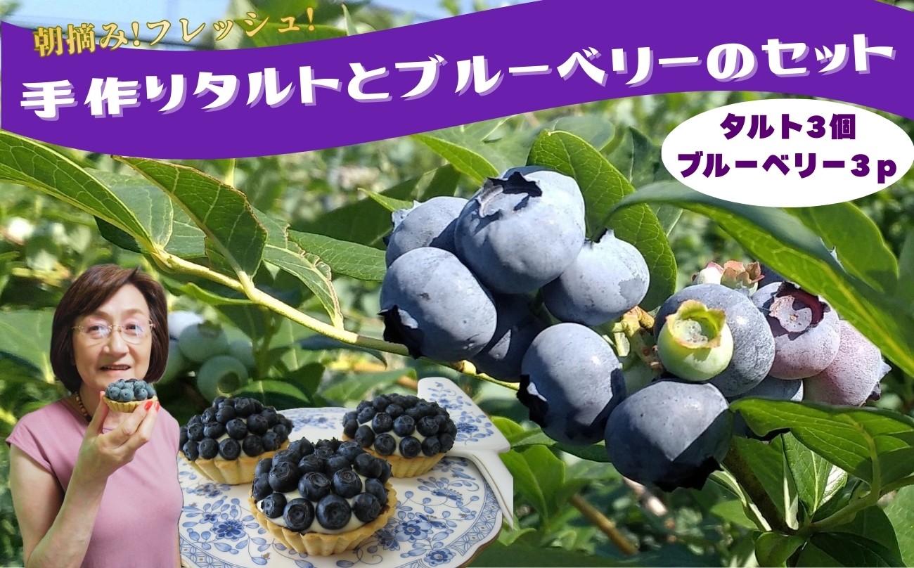 
                  【先行予約！6月から順次発送】ブルーベリータルトとブルーベリーの詰め合わせ｜朝摘み 新鮮 手作り お菓子 タルト スイーツ 果物 秦野 神奈川
                