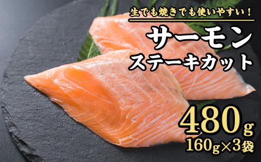 サーモン ステーキカット 480g（160g × ３パック）小分け 鮭 サーモン アトランティックサーモン 国際規格SQF2000 さけ シャケ しゃけ sake カルパッチョ ソテー レアステーキ 人気 高級 大満足 美味しい 贈答 生食用 刺身 お刺身 刺し身 魚介類 海鮮 冷凍 厚切り 薄切り ふるさと納税 ふるさとチョイス 三重県 尾鷲市 OB-f-24