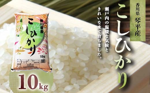 
										
										令和6年度産 香川県琴平産コシヒカリ 10kg 《入金後2週間以内に発送》 銘柄米 ブランド米 国産 こしひかり コシヒカリ 米 精米 お米 ライス ギフト 贈り物 四国 F5J-602
									