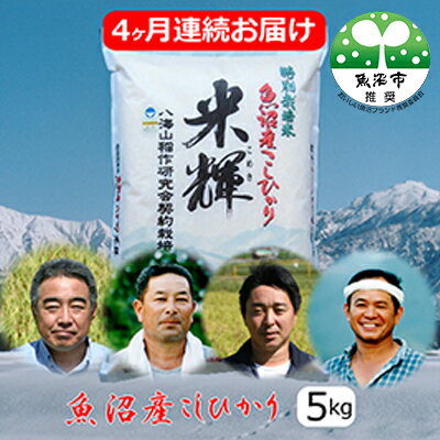 【ふるさと納税】新潟県認証【特別栽培米】魚沼産こしひかり 5kg 4ヶ月連続お届け お米 コシヒカリ 　お届け：寄附入金月の翌月より発送