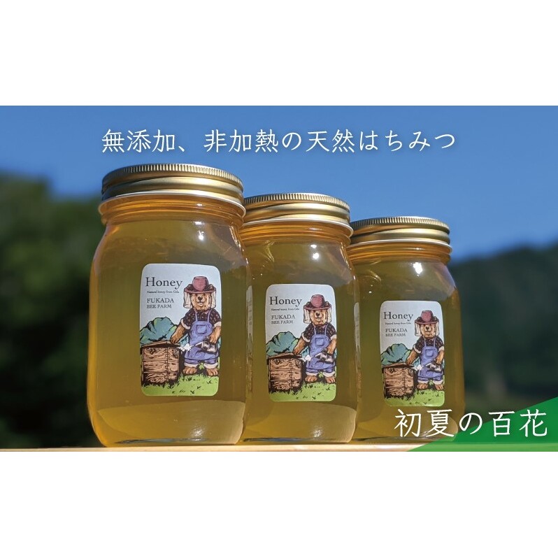 合計1800g 天然蜂蜜 国産蜂蜜 非加熱 生はちみつ 岐阜県 美濃市産 初夏 (蜂蜜600g入りガラス瓶3本セット)B7_イメージ1