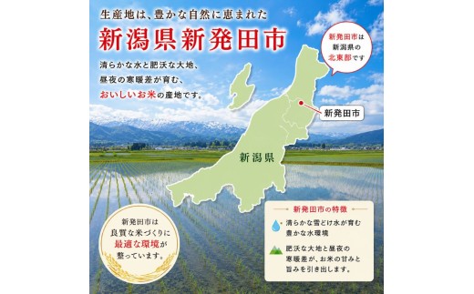【最短5日発送】 令和8年産 なつひめ 真空パック 白米 10kg  新潟産 新潟米 新発田産 新発田 お米 米 kome ご飯 こめ ごはん ライス ふるさと納税 お弁当 食品 ブランド米 新潟県 