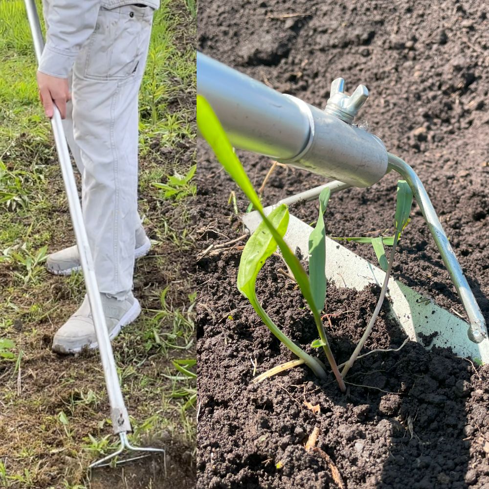 【ふるさと納税】手取り除草機　ホーF21　《足寄町》【株式会社キュウホー】除草具 農具 草取り 草刈り 農業 農作業 のうさぎょう ガーデンニング 庭 園芸 掃除 花 草 雑草[BEBH002]