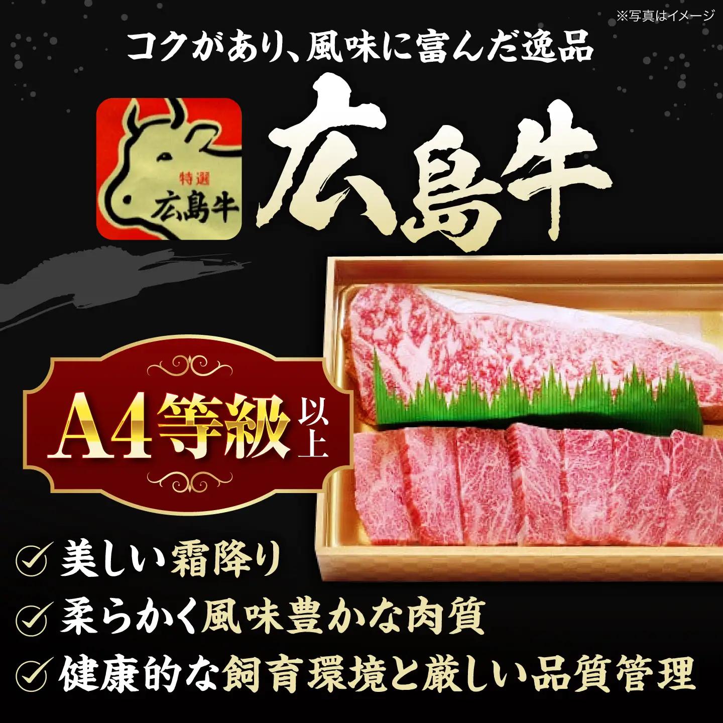 【全12回定期便】牛肉 肩ロース・サーロインセット [APAZ076] 牛肉