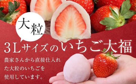 【2月発送】フルーツ大福 さぬき姫のかほり餅 8個入り【いちご 苺 大福 いちご大福 スイーツ お菓子 和菓子 さぬき市 風月堂】
