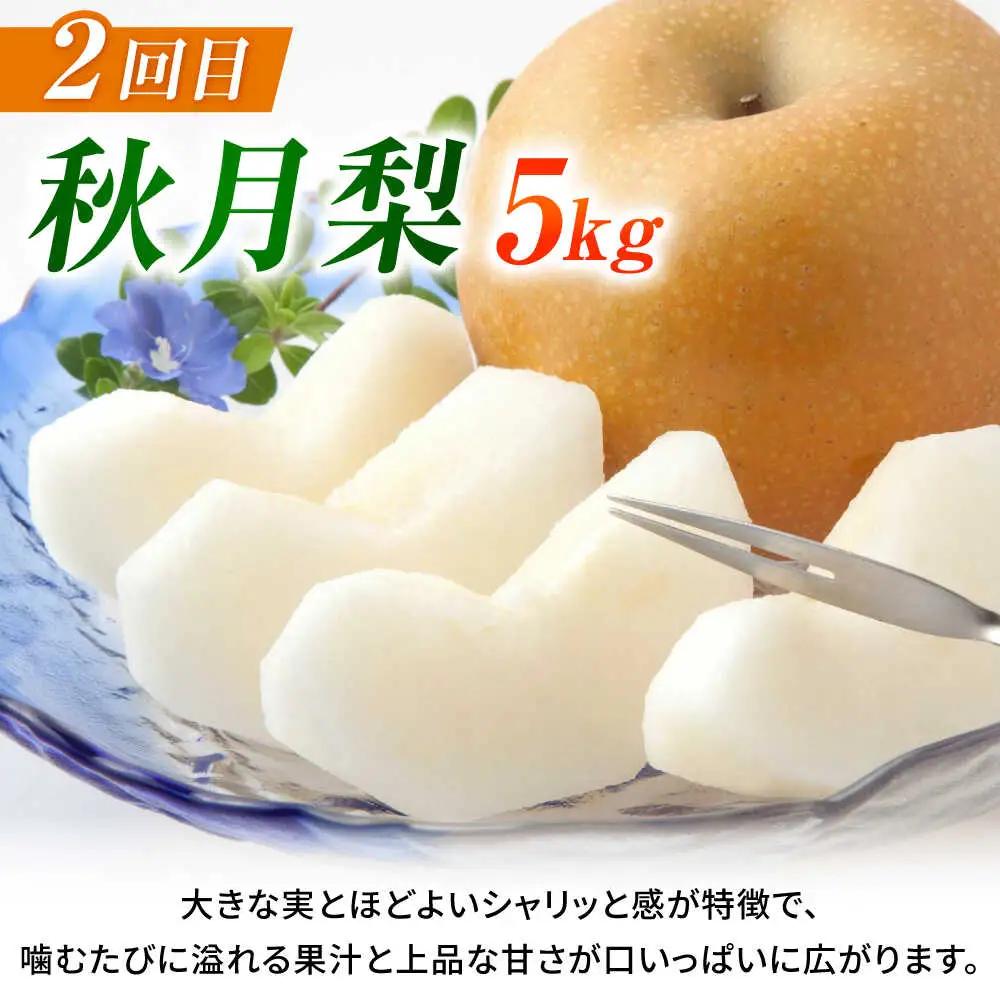 【先行予約】【3回定期便】 梨 約5kg 計約15kg（豊水・秋月・新高）  梨 ナシ フルーツ 果物 【日本フルーツ株式会社】 [ZFJ024]