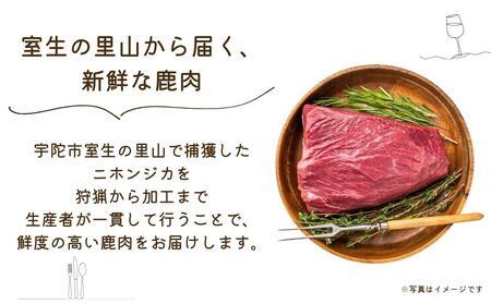 冷凍 塩糀漬け鹿肉 鹿の花 (120g×5袋)／ ジビエ 焼肉 味付き肉 簡単調理 国産 琴弾アンナプルナ 奈良県 宇陀市 ふるさと納税