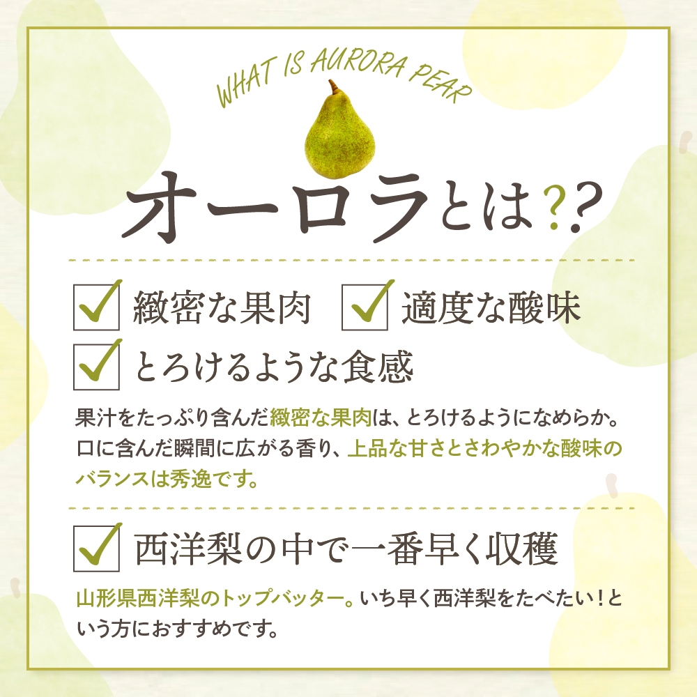 【2026年産】 西洋梨 オーロラ 5kg 秀品 化粧箱入り 山形県 東根市 東根農産センター提供 hi027-187-r8_イメージ2