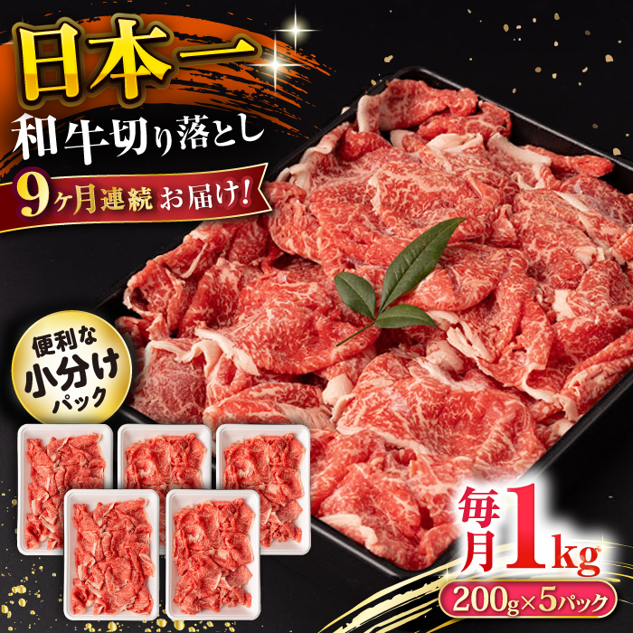 【9回定期便】長崎和牛 切り落とし 1kg/月（総計9kg） / 牛肉 切り落とし 切りおとし きりおとし すき焼き 小分け / 大村市 / おおむら夢ファームシュシュ [ACAA232]