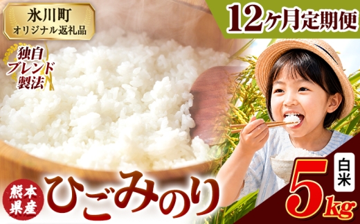 【12ヶ月定期便】ひごみのり 白米 熊本県産 ブレンド米 5kg 熊本県産 ふるさと納税  精米 米 こめ ふるさとのうぜい コメ お米 おこめ《お申込み翌月から出荷》