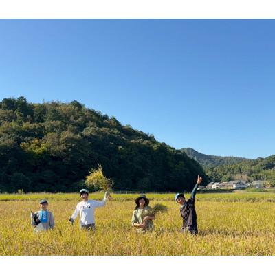 ふるさと納税 岐南町 環境配慮型農業で育てた　岐阜県のお米　ハツシモ　5kg (白米) |  | 01