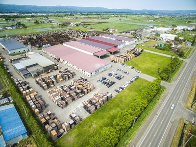 木のぬくもりを感じるスマホスタンド4色セット