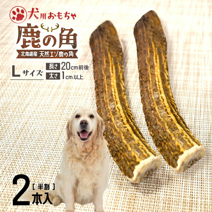 【ふるさと納税】犬用「鹿の角(半割り)」Lサイズ×2本[53-1600] 北海道 浦河 ふるさと納税 鹿の角 鹿 犬用 ワンちゃん おもちゃ 玩具 デンタルケア 送料無料