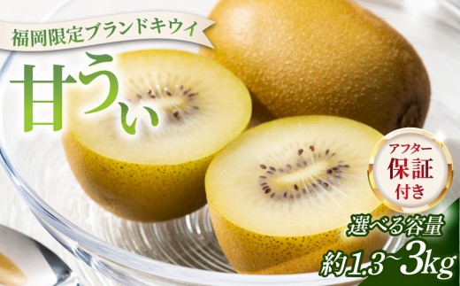 
                  ＜選べる容量＞【先行予約】希少 キウイ 甘うぃ 約1.3～約3kg（2026年11月以降発送）|果物 旬 国産 産地直送 キウイ キウイフルーツ キウィフルーツ 甘うぃ 送料無料 那珂川市 福岡県
                