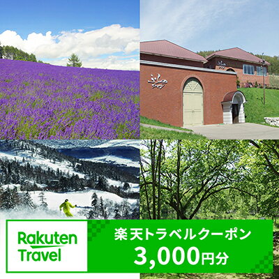 【ふるさと納税】北海道富良野市の対象施設で使える楽天トラベルクーポン寄付額10,000円