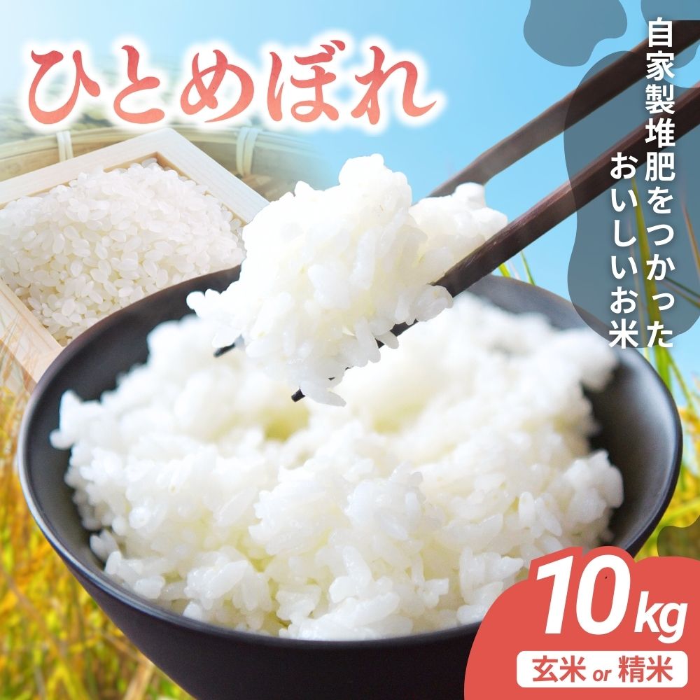 【ふるさと納税】 宮城県涌谷町産 ひとめぼれ 10kg　選べる白米or玄米 ※2025年10月中旬より順次発送予定 | 米 お米 こめ コメ 玄米 ご飯 ライス 産地直送 数量限定 ブランド米 宮城県産 送料無料