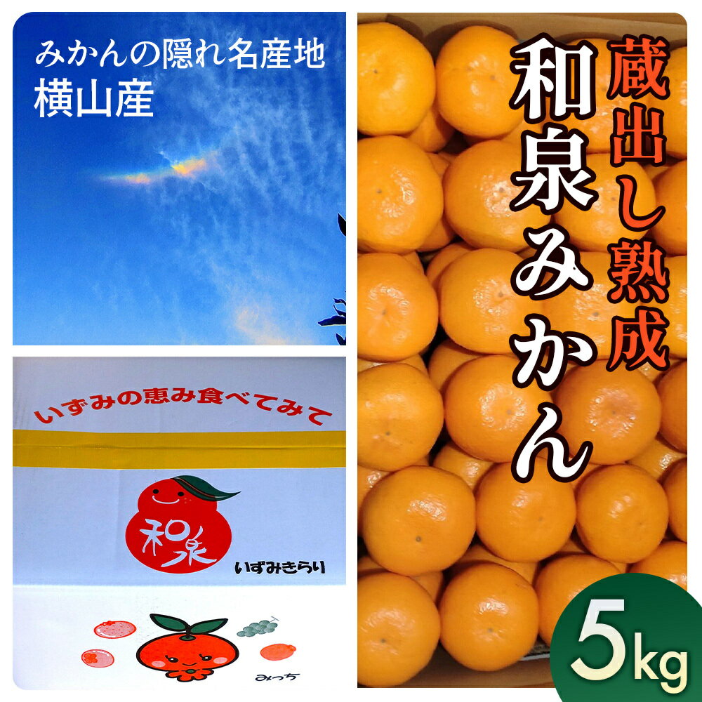 【ふるさと納税】隠れ名産地　蔵出し熟成和泉みかん(中玉・大玉サイズミックス)5kg【1499001】