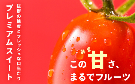 【朝採れ最短発送！】 Premium Sweet 1kg フルーツミニトマト