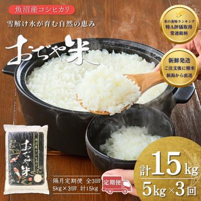 ふるさと納税 小千谷市 【2ヵ月毎定期便】新潟県 魚沼産 コシヒカリ 精米5kg お申込み後に精米 おぢや米全3回