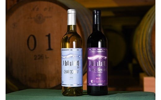月山山麓 赤 白 ワイン 720ml×2本 バレルブレンディッド シャルドネヴィンテージ 飲み比べ 赤ワイン 白ワイン 酒 山形 　018-E-CK012
