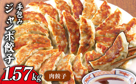 肉餃子 手包み ジャンボ 餃子 45個 冷凍 15個 × 3パック 【 餃子 】