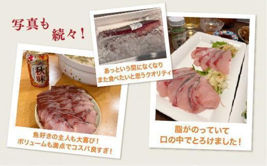 KU281-1<2025年12月発送分>活じめ!黒瀬ぶりの生鮮ブリロイン2節(400g前後)