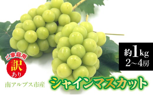 【2026年発送先行予約】南アルプス市産　【訳あり】シャインマスカット　約1.0kg（２～4房） ALPDD028