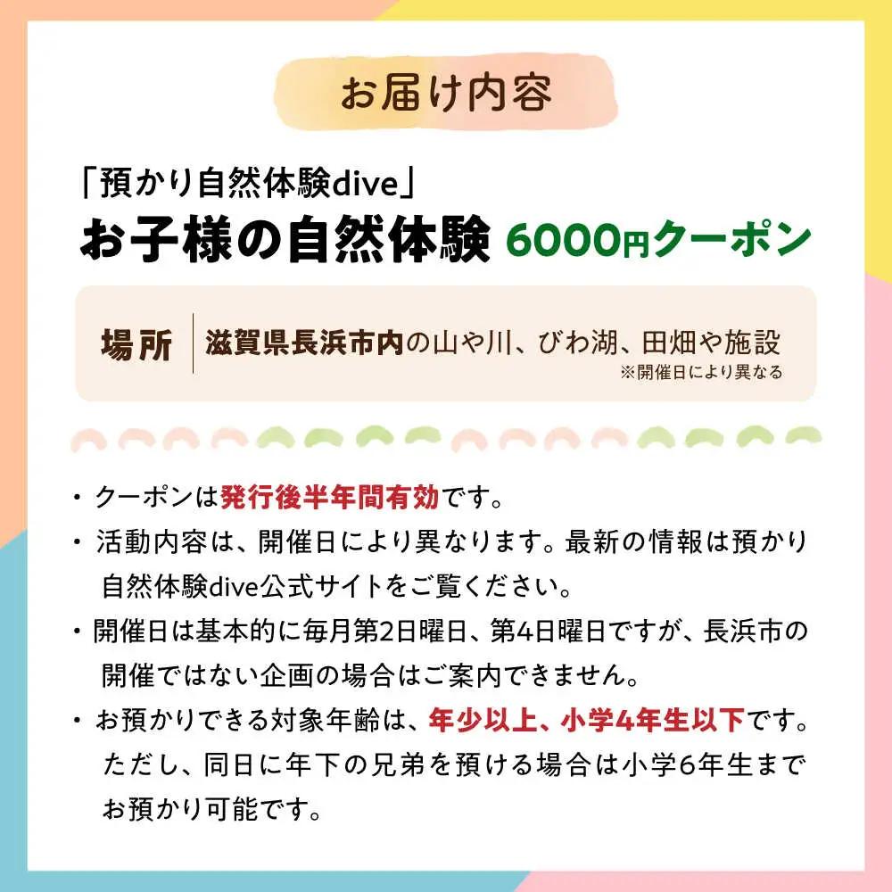 お子様の自然体験6000円クーポン「預かり自然体験dive」[AQAA004] 体験 子ども体験 自然