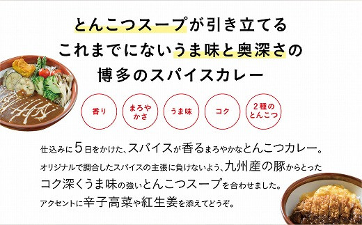 博多名物とんこつカレー豚骨スープ付き 200ｇ×5袋  [H2090]