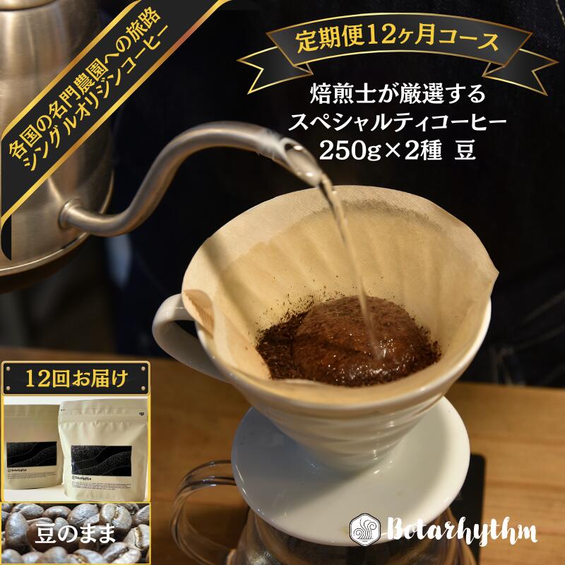 【ふるさと納税】 【定期便】スペシャルティコーヒー豆 焙煎士セレクト 250g×2種【豆】 12ヶ月 千葉県 南房総市 個性 焙煎 ブラジル コロンビア グアテマラ インドネシア ケニア エチオピア フレッシュ コーヒー豆 送料無料