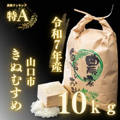 ふるさと納税 山口市 農家直送!山口市産「きぬむすめ」精米10kg D405