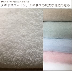 TEXSAS COTTON 100% タオルケット シングル ホワイト 1枚 SNT-20TXWH [3227]