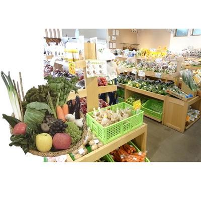ふるさと納税 弘前市 野市里からの贈り物(旬の野菜、加工品約10〜14種類程度)|24_ank-050101
