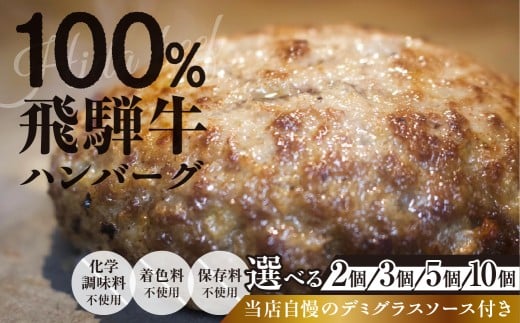 飛騨牛100％無添加ハンバーグ 2個 生ハンバーグ 牛 100% 焼くだけ デミグラスソース付 冷凍/ 食品 惣菜 洋風惣菜 ハンバーグ 10000円 1万円