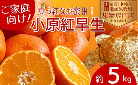 【2025年11月中旬より順次発送】ご家庭用！真っ赤なみかんの小原紅早生　約3kg 果物 フルーツ 柑橘 デザート おやつ 食後 国産 日本産 産地直送 香川オリジナル品種 食べ物 