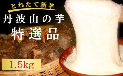 【芋家なか吉】プレミアム丹波山の芋特選品1.５kg［ 京都 芋 いも イモ 新鮮 野菜 人気 おすすめ お取り寄せ 通販 ふるさと納税 ］