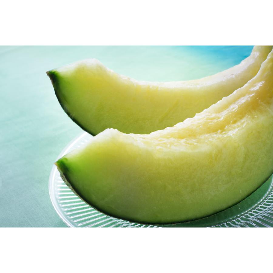 ＜長洲農園＞旬の時期にお届け 品質優良賞受賞 茨城県産 4種のメロンの定期便