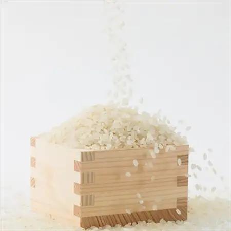 【突鉱土育ち】津山産トッコウ米(こしひかり)5kg【1361991】