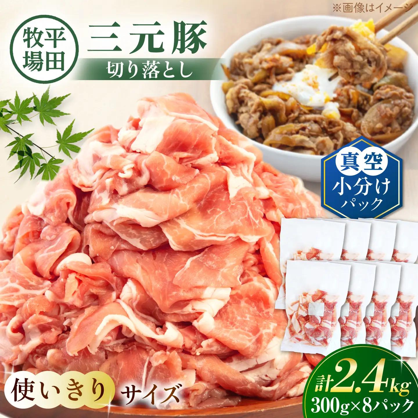 三元豚 切り落とし 計2.4kg（300g×8P） 切り落とし 小分け AJAP185