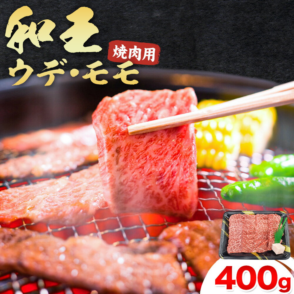 【ふるさと納税】熊本県産A5等級和王 ウデ・モモ 焼肉用 約400g (約400g×1パック) 帝神志方ミート株式会社《90日以内に出荷予定(土日祝除く)》熊本県 菊池市 牛肉 肉 お肉 和牛 くまもと黒毛和牛 熊本県産 A5 和王 ウデ肉 モモ肉 焼肉
