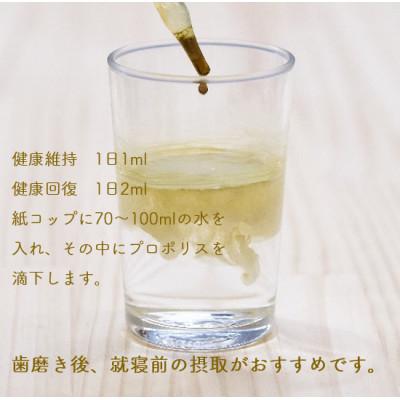 ふるさと納税 あきる野市 プロポリス　30ml |  | 03
