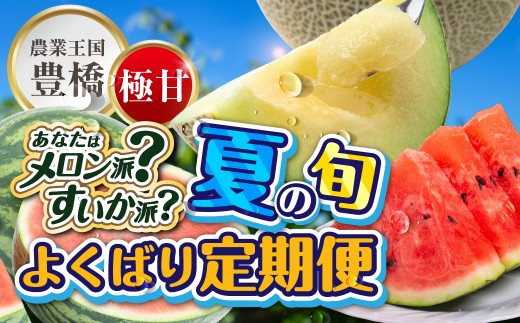 【2回お届け】メロン 訳あり 温室マスクメロン2玉 スイカ 大玉1玉 定期便 豊橋市 メロン 訳あり メロン 訳あり メロン 訳あり メロン 訳あり メロン 訳あり メロン 訳あり メロン 訳あり スイカ 大玉 スイカ 大玉 スイカ メロン スイカ メロン 定期便 果物 定期便 果物 メロン 訳あり スイカ 大玉 スイカ メロン 定期便 果物 メロン 訳あり スイカ 大玉 スイカ メロン