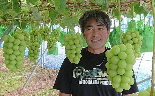 No.2504シャインマスカットとぶどう2種（全3房）【2026年発送】