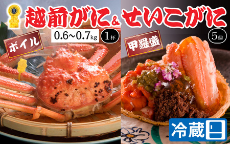 【先行予約】【蟹問屋 越前田村屋 究極の逸品】越前がに （ズワイ） 0.6-0.7kg 1杯セイコがに甲羅盛 5個セット［I-029020］