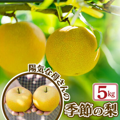 【ふるさと納税】【先行予約】【数量限定・期間限定】R8年産「季節の梨」（5kg）【80P3405】 なし ナシ セット 季節 数量限定 大館市 秋田県 陽気な母さんの店 送料無料 ギフト フルーツ 果物 和梨【陽気な母さんの店(株)】